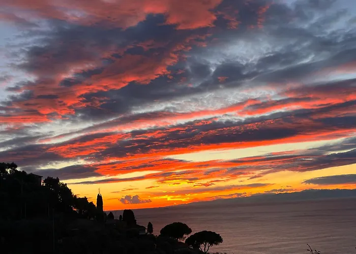 Alida's House * カモーリ